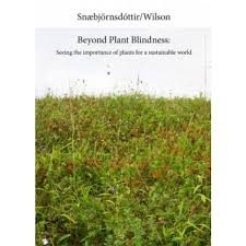 BEYOND PLANT BLINDNESS