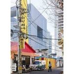 CHIPPERFIELD: A BOOK ABOUT A LARGE BUILDING