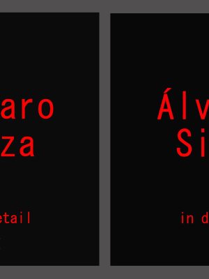 ÁLVARO SIZA IN DETAIL - 2 volumes (can be purchased separately)
