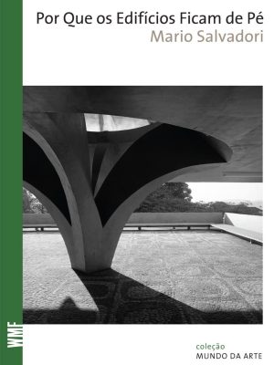Por Que os Edifícios Ficam de Pé