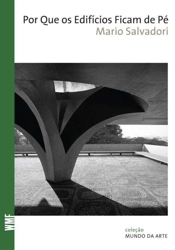 Por Que os Edifícios Ficam de Pé